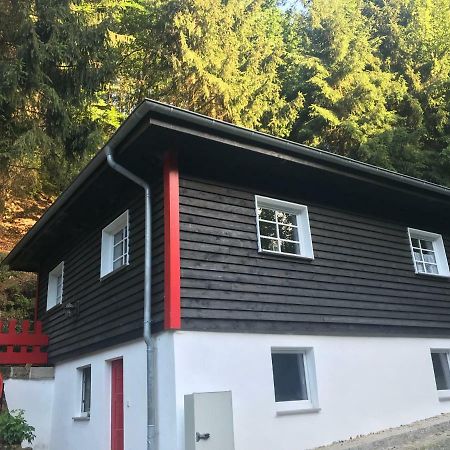 Blockhaus Im Kuckuckswinkel Villa Schöna Buitenkant foto