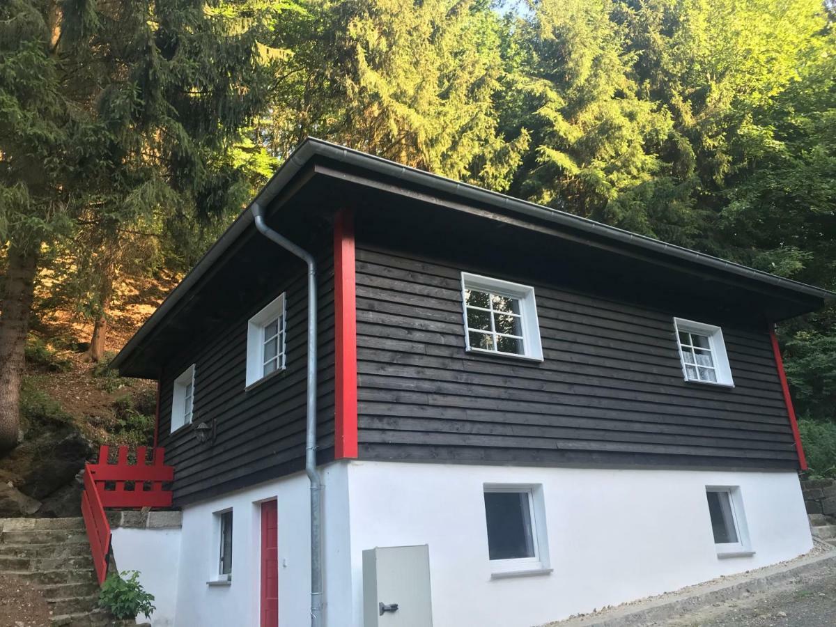 Blockhaus Im Kuckuckswinkel Villa Schöna Buitenkant foto